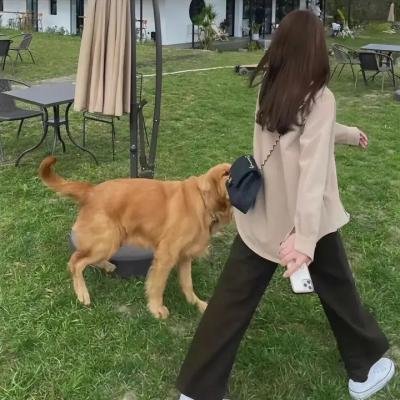 橘子