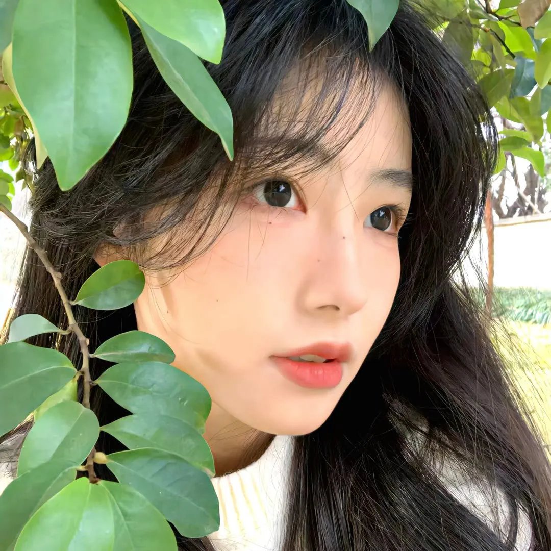 胖小子的世界规则