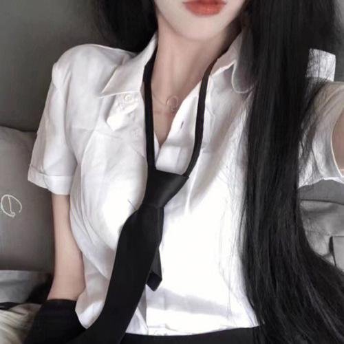 副总统第五季